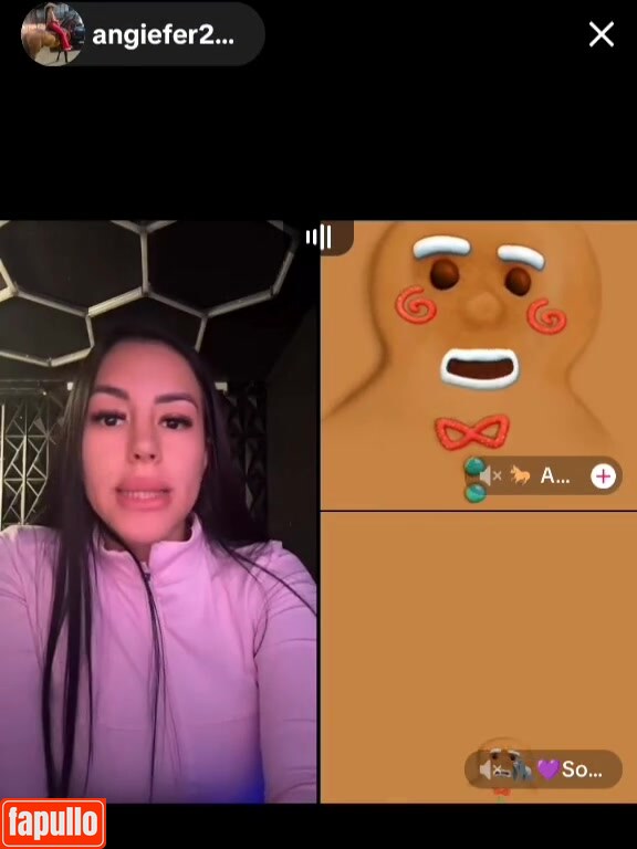 angiesan_20