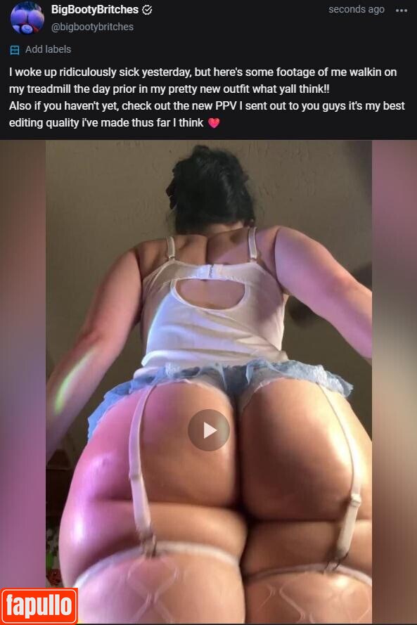 Bigbootybritches