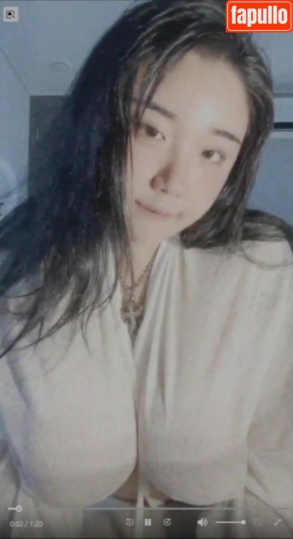 E_Chi_h