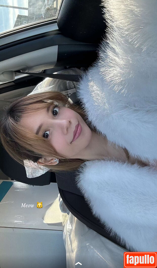 Eeeveenara