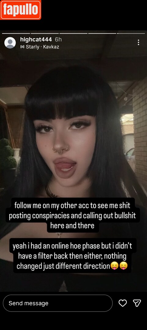 seidorei_kitten